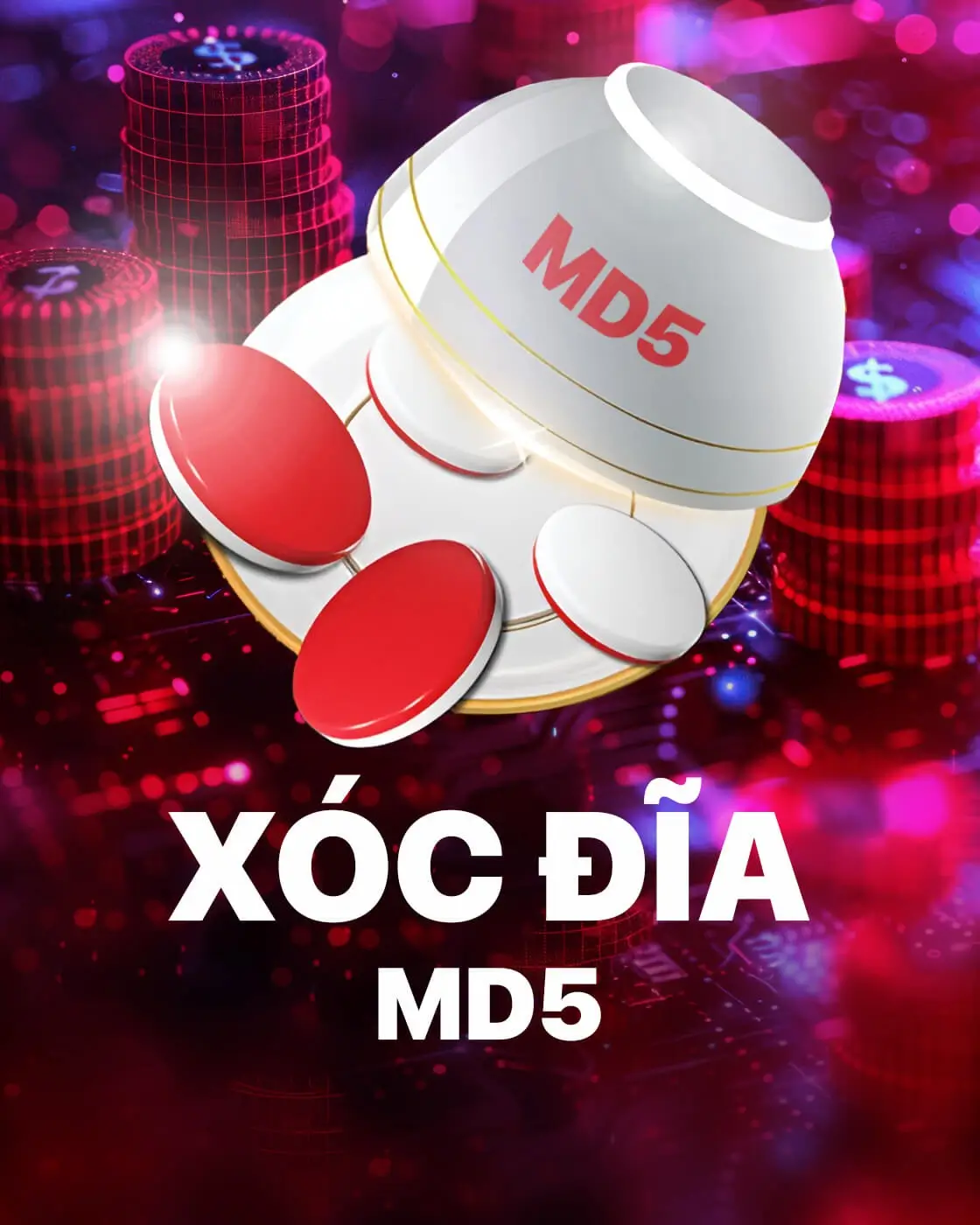 imgi 1062 XOCDIA MD53